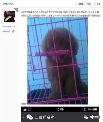 送养猫狗为幌骗托运费，有不少人中招被骗！