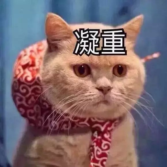 猫咪无所不能，啥事都帮我操心，可谓一猫在手，天下我有！